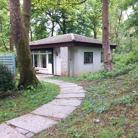 فيلا Woodland Retreat Uny Lelant المظهر الخارجي الصورة
