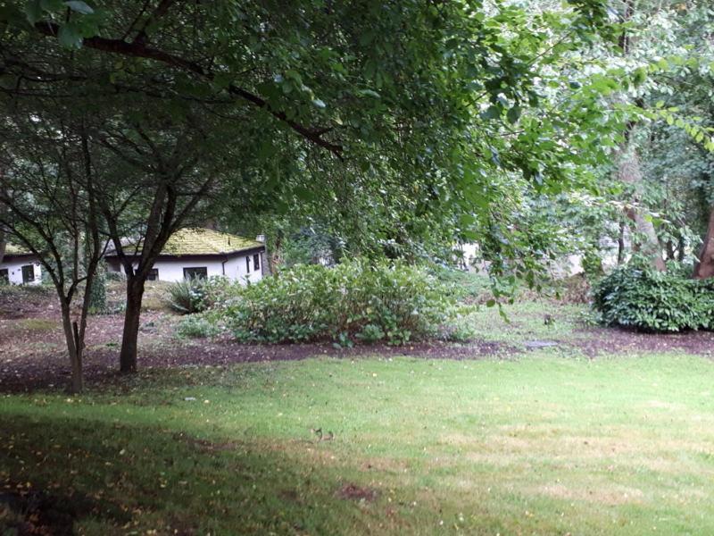 فيلا Woodland Retreat Uny Lelant المظهر الخارجي الصورة