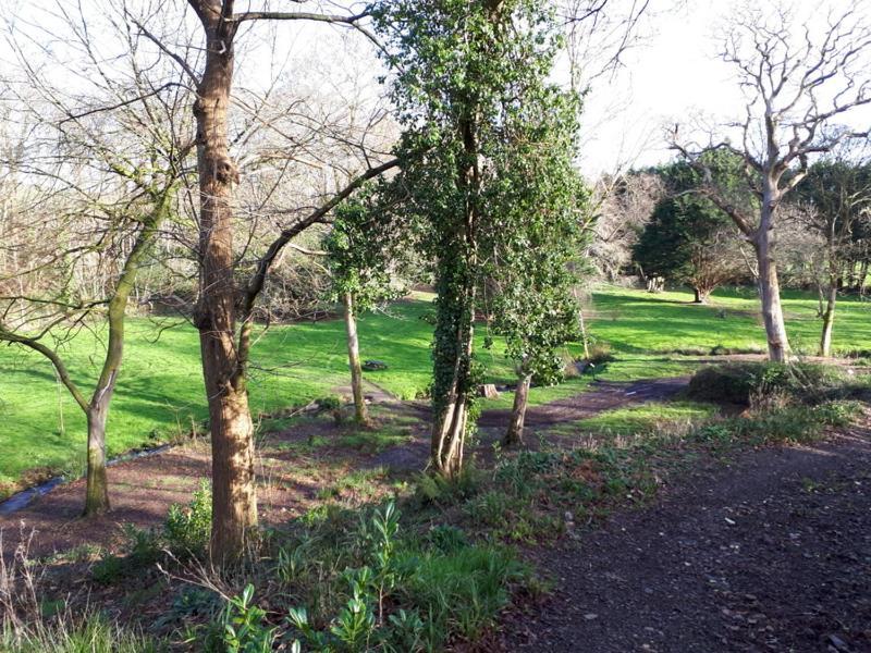 فيلا Woodland Retreat Uny Lelant المظهر الخارجي الصورة